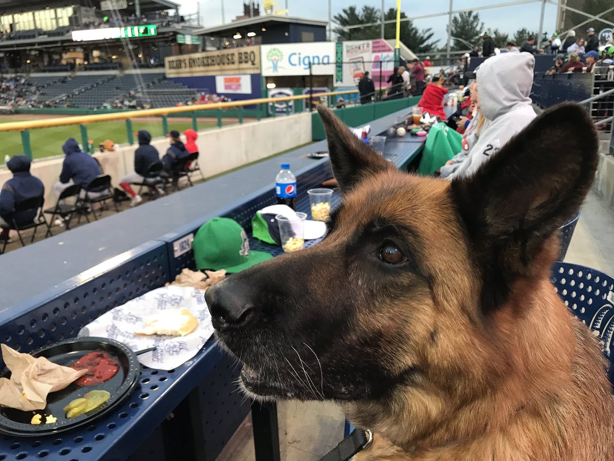 thetallblondect's tweet photo. Agatha at #barkinthepark! @GoYardGoats @TheSuzieHunter #nogoatsnoglory #yardgoats @conorgeary22 #respecttheyard @JimmyAltman https://t.co/EfvIhhdpb1