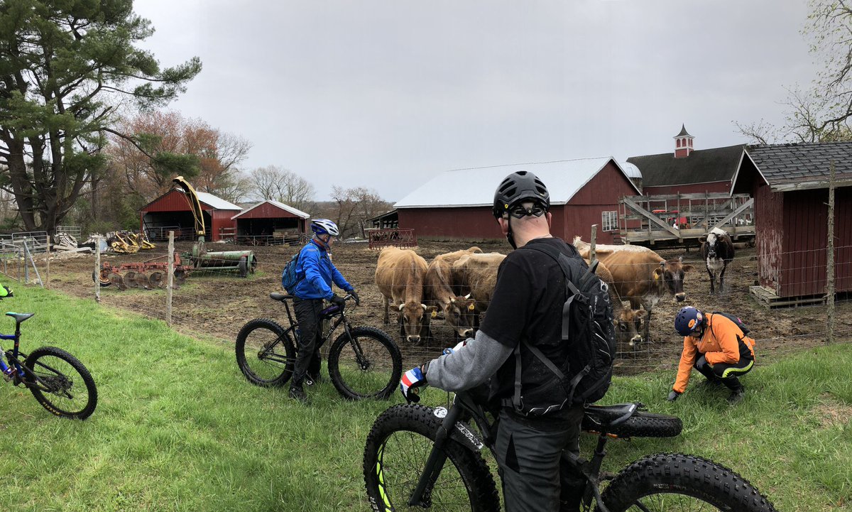 pibb41's tweet photo. It’s always good to stop along the way to small the cows and pet the flowers https://t.co/2pjOayKpeg