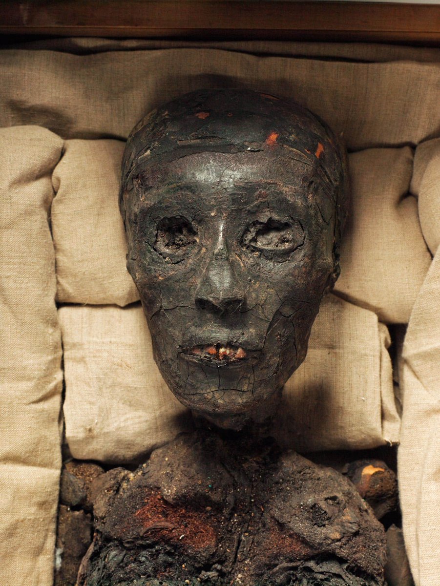 Hai, thread pagi ini bertajuk :

“Firaun Tutankhamen.”