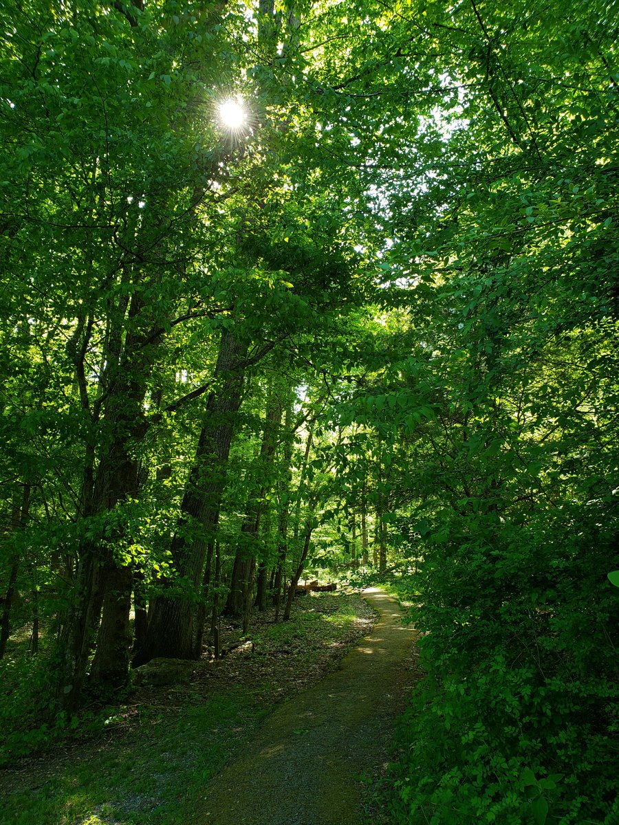 mintaburst's tweet photo. Hike your cares away 👏👏 worries for another day. https://t.co/BLBxkacqdd