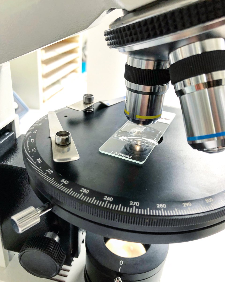 Happy #Monday from the lab! Have a successful start to this work week! 🔬 #Ecologics #EcologicsLab