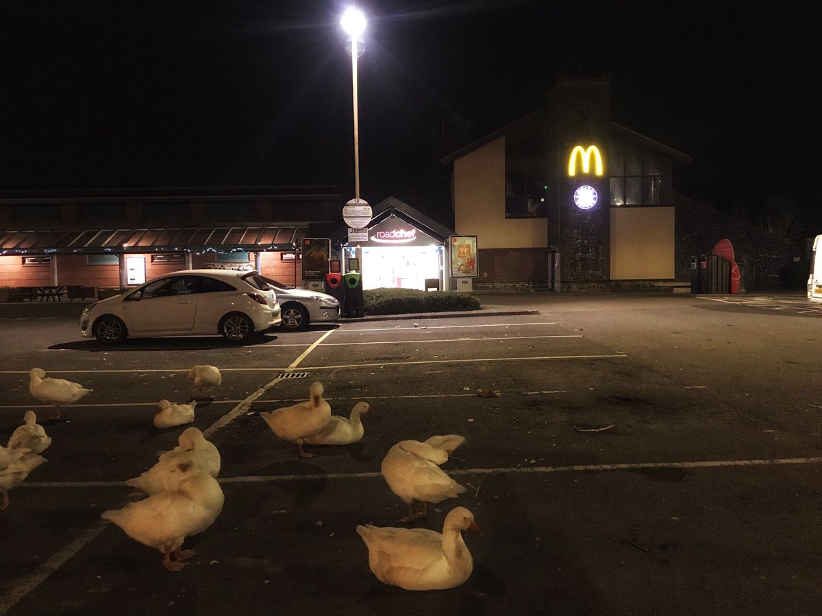 msprake95's tweet image. Don’t fly tired, stop at a @Roadchef #RoadSafety #roadchef @DumfriesGPolice