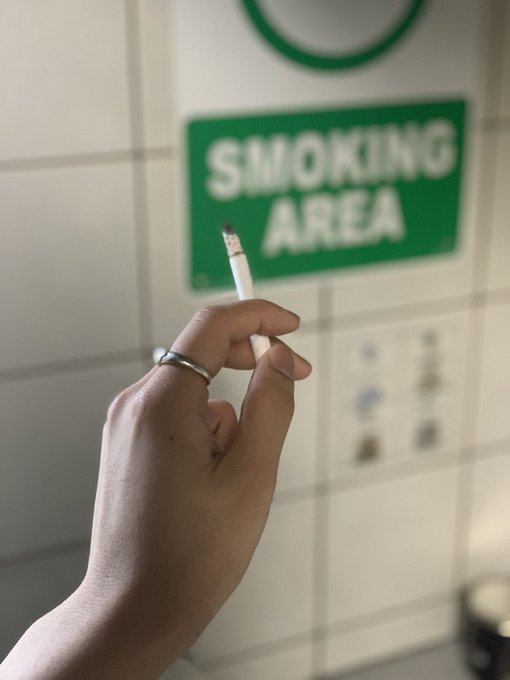 早稲田大学煙草研究会さん の最近のツイート 3 Whotwi グラフィカルtwitter分析