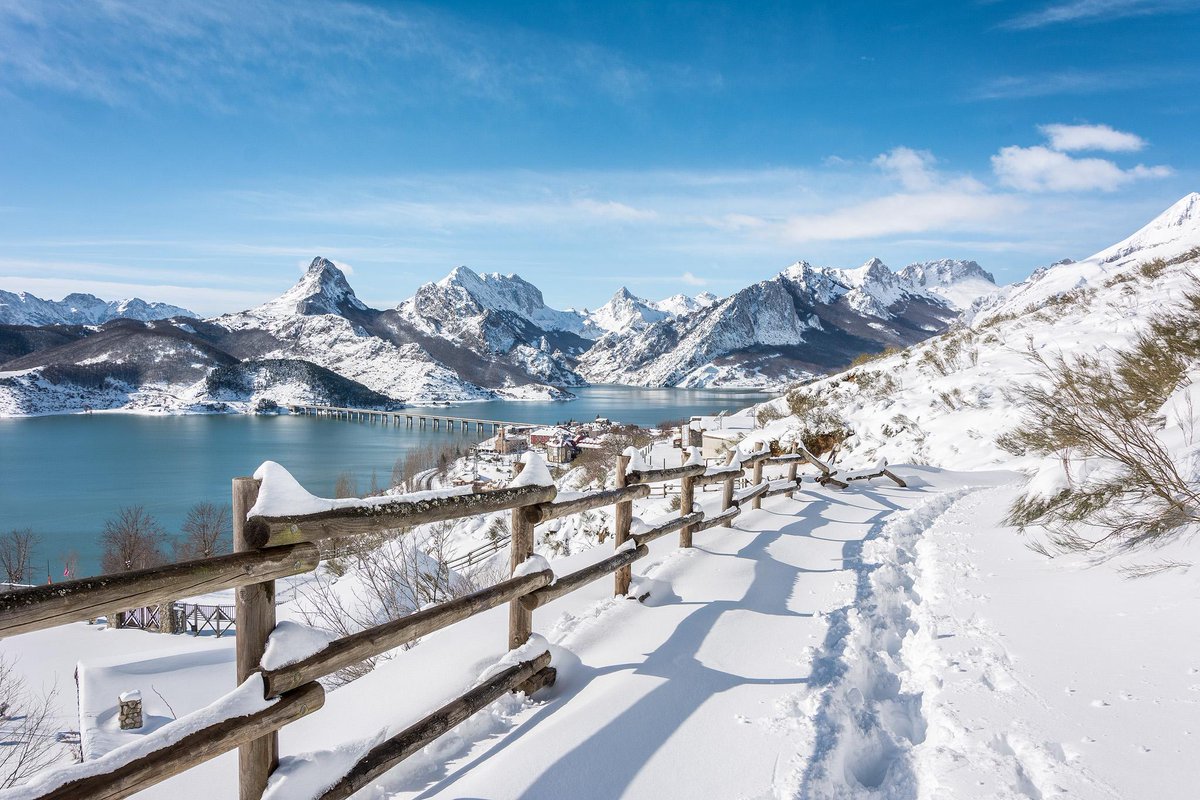 лыжник в лесу. где зима. зимующие птицы сорока. кросс кантри лыжи. где зимой 40.