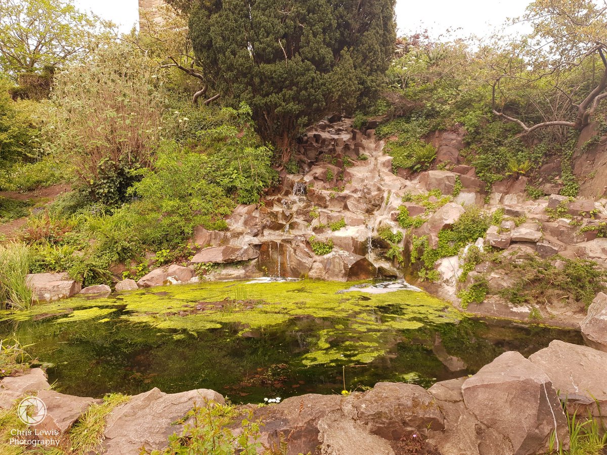 Such a beautiful place, Brandon Hill. 
#Bristol #visitbristol #tree #pond #stream #river #nature #rocks #naturephotography #BrandonHill #bristolshootersuk #ingersbristol #lovebtistol #beautifulday #dayout #noeditneeded #beautifulplace #park #greenscreen