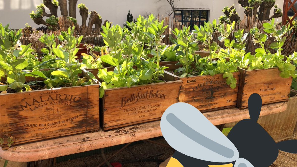 Thibaut Schepman tweet media