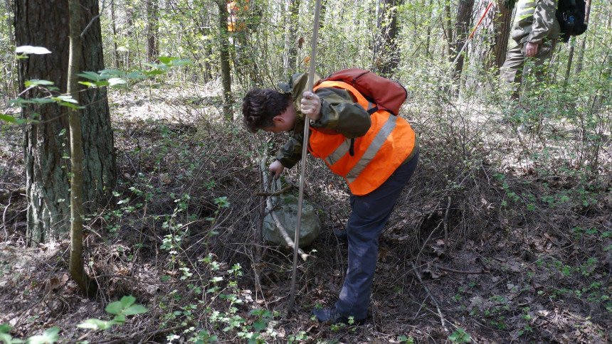 FOTO: Kā brīvprātīgie "ķemmēja" Juglas mežus, lai atrastu pazudušu cilvēku dlvr.it/R3l8GL