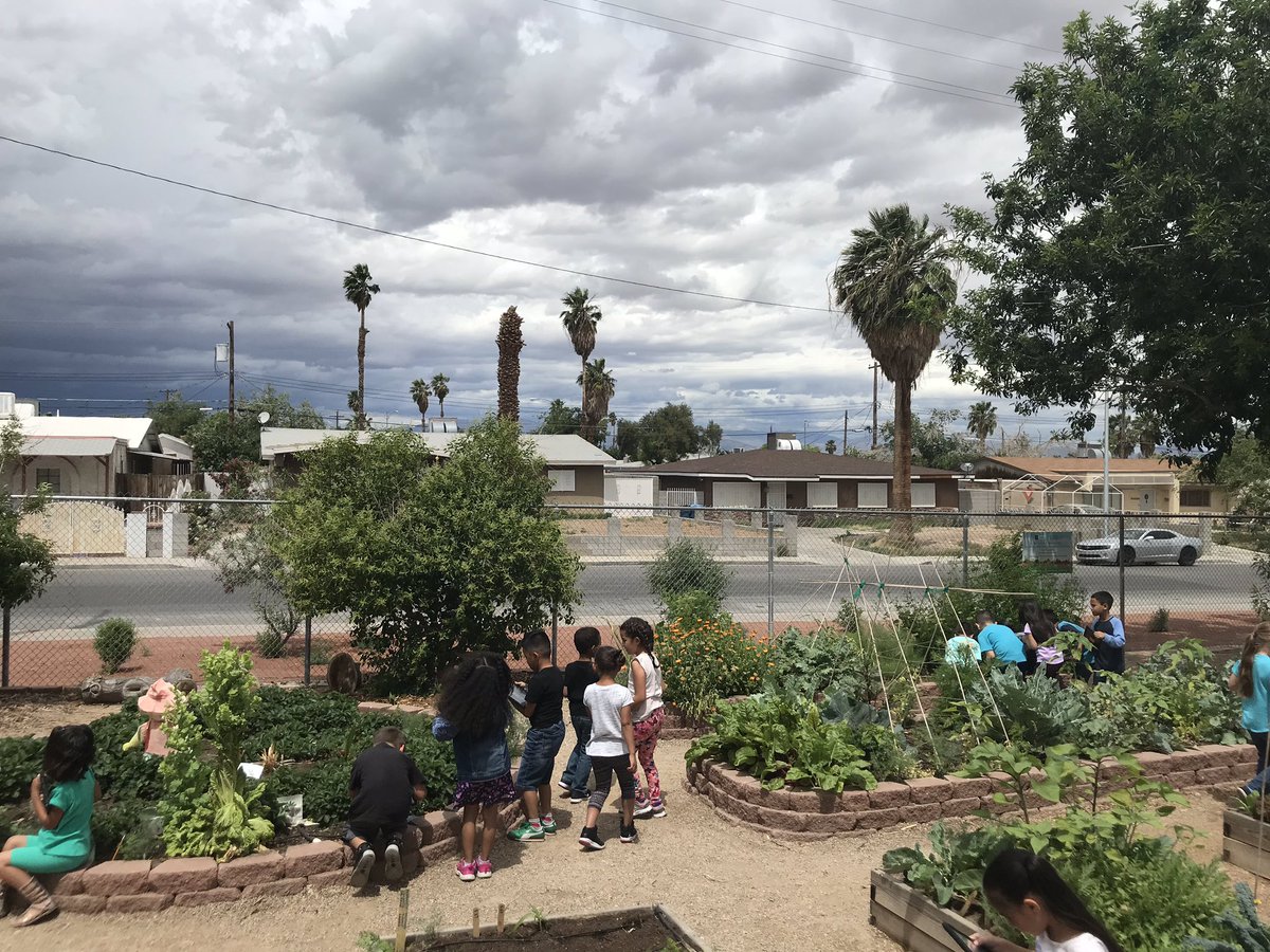 Technology shouldn’t be kept indoors! Kinder students using their iPads to observe the garden.