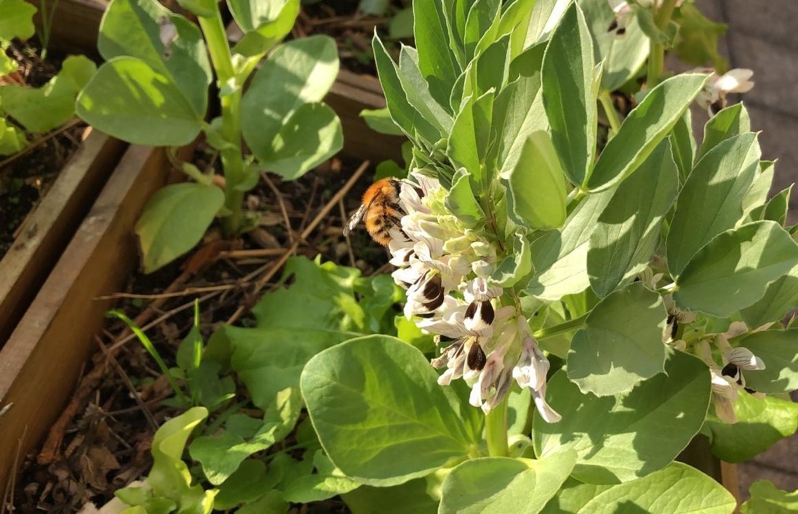 Thibaut Schepman tweet media