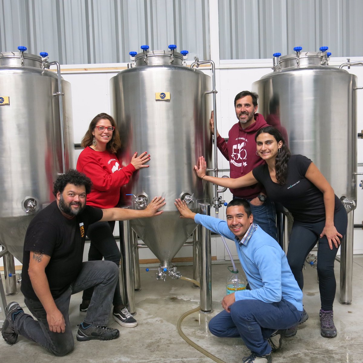 Cervezamas56's tweet photo. Quisimos mezclar Colaboración y el orgullo de ser chilenos 💪🏻🇨🇱🍻
Y junto a @grossegerste logramos la magia...hacer una cerveza con ingredientes 100% chilenos!
Y con el apoyo y compañía de este gran equipo. 
Serán solo 500 lts en barril #Chile #Emprendimiento #LupulosHueiman https://t.co/IyXb0DKcuo
