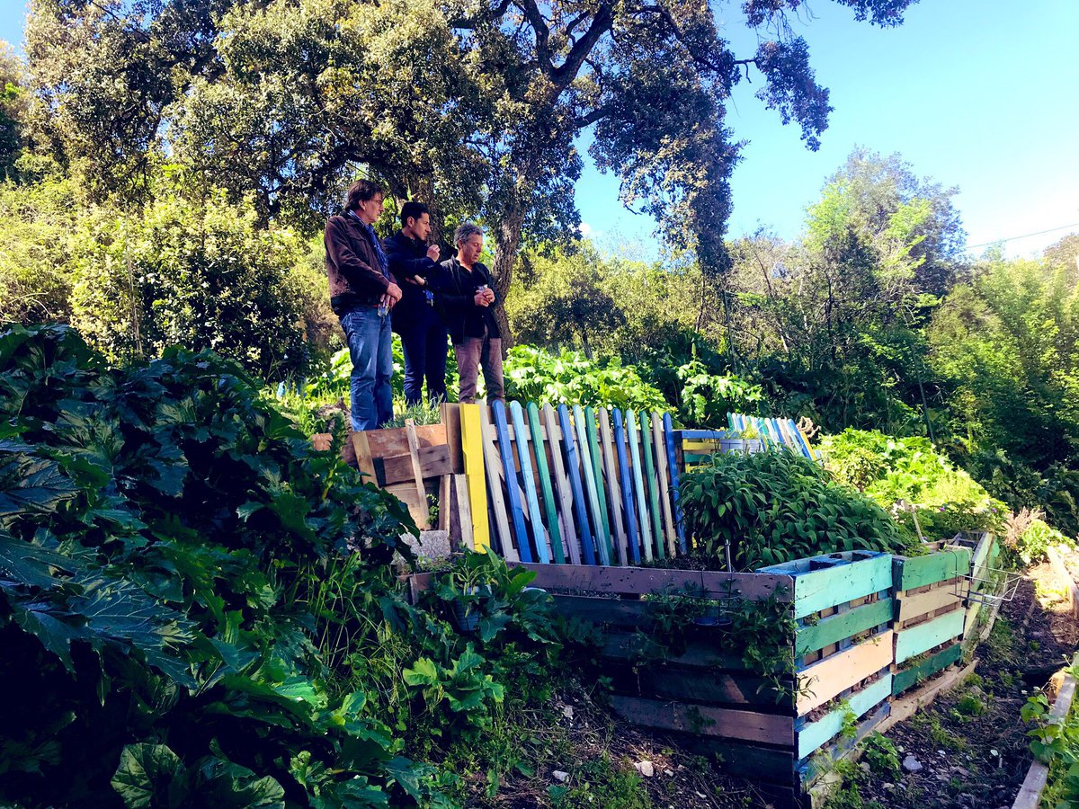 villecannes's tweet photo. 🔴 #CMCannes #CannesAgricole

La #MairiedeCannes s’est engagée à sanctuariser et à développer les espaces naturels de #Cannes. Les aménagements de la #BasseValléedelaSiagne représentent l’exemple phare des actions menées par @DavidLisnard pour une Cannes sanctuarisée et protégée. https://t.co/2JjpNVTmGW