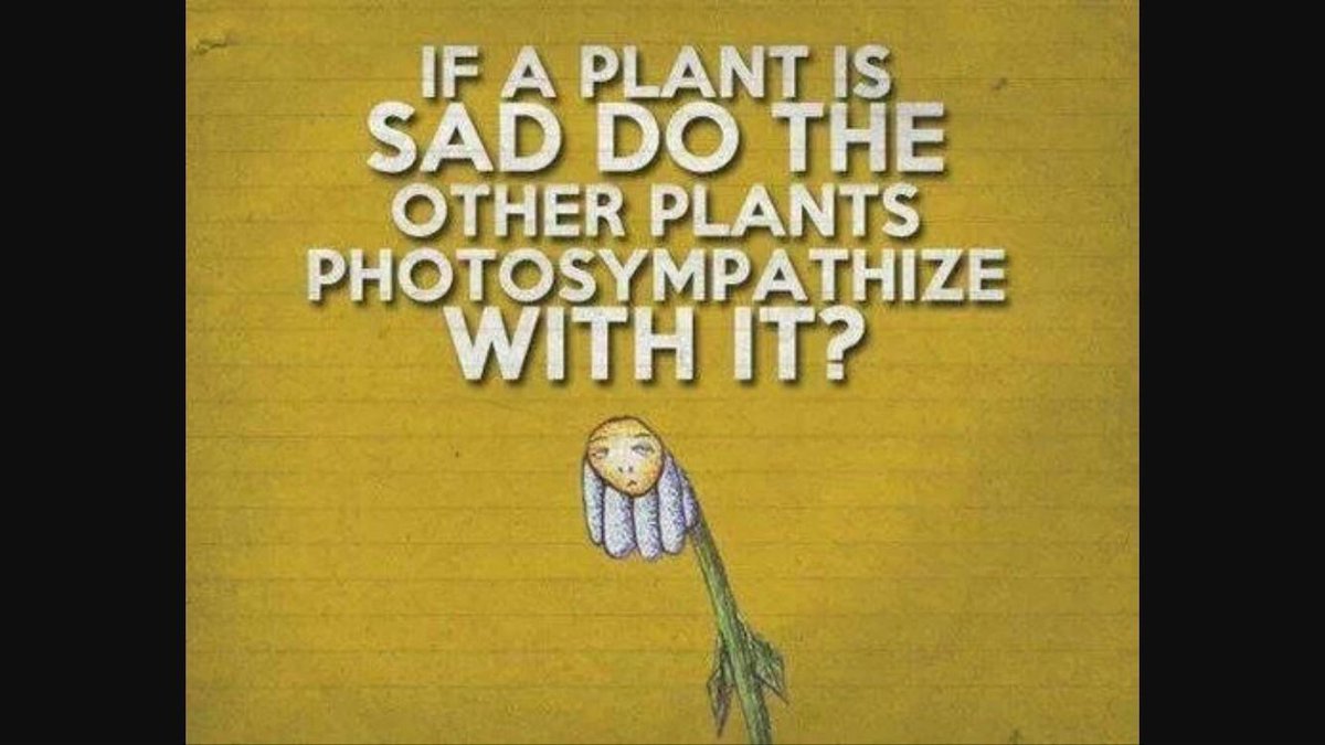 MrsWyllieToD's tweet photo. Good luck to everyone involved in #Higher and #National5 Biology tomorrow! 🧬🧬🧬#HumanBiology #N5Biology #N5Bio https://t.co/BJOJ4wazQ8