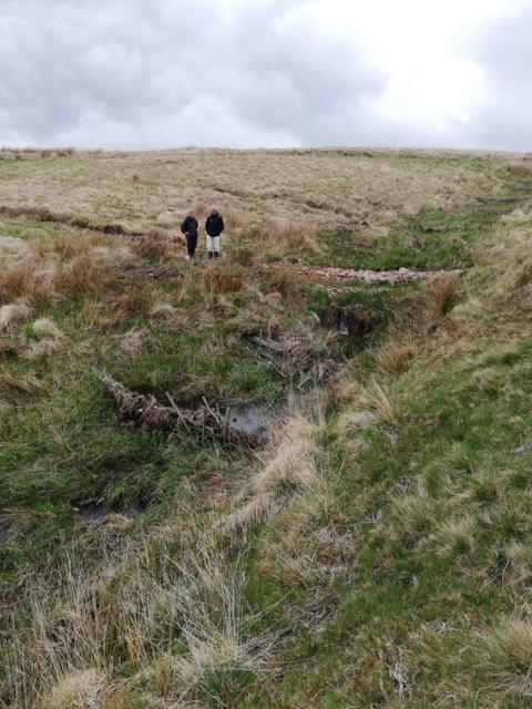 Great day out with the @SouthWestWater Environment team looking at recent #peatland #restoration on #Exmoor for the #UpstreamThinking project - great example of how blocks can help retain water and bring back the mosses! @Exmoor_Mires @ExeterGeography @UofE_Research @missDC78
