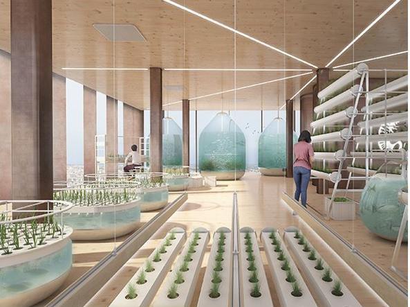 SeguiUltimaVoce's tweet photo. Sai già come ci nutriremo in futuro? Tra agricoltura verticale e quartieri eco-sostenibili, abbiamo selezionato tre progetti estremamente validi https://t.co/weCVD16AlQ https://t.co/BuWaWd7VhL
