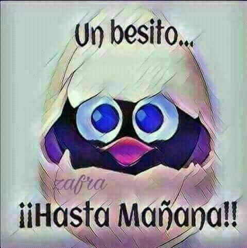 lamoscacojondra's tweet photo. @PMajeton @sisagusa @NataliaArana19 @Cordobesainfliz @1_pedrodeltoro @Ciriaco1212 @albaristina @BarreirAurora @Rosemarie0548 @fandelmejor684 @getaparo @La_fotografa_de @mardecastilla @mgicafe @ARRAUTXES @graciagv2 @pacoviconews @VelascoBegoa @Hermi35939249 @Martina33365320 @231Vigo @HotAtos @berdnas @Malaga97451918 @AngelesRendn1 @g_palmira @isabeldelatorr8 @anazulategui @alejandrolerru3 @violetarnb @DiegoZENtrico @Jartiblecabrea1 @RosaliaLia1 @Pecoseta56 @Rosa123413Rosa @PILAR48668541 @SergioAlvarezA4 @fandelmejor672 @carmenarpon @leunam19683284 @mimariban @Ramiro____II @crujjido @LydiaVassallo @Jaume_2288 @Maria60606378 @Cuerpospolicia1 @Gaby51904891 @populares @pablocasado_ BuenasNochesPandaDeLokuelosInteligentesMuchosBesicosYAbrasosChillaosDelIaioLokueloParaTod@sDesdeElPARAISO,Mi ESPAÑA
ALaQAmoAyer,HoyYMañanaXEncimaDeTodoYDeTODOS
NingúnSinvergüenzaDe #LaCasta HaráQMeEnfrente
AMisHermanosLosEspañoles
ALosQAmoXEncimaDeTodoYDeTODOS #loslistosdeListas https://t.co/qSAAQ4OWqd