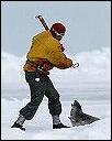 HarpSealsDotOrg's tweet photo. #ThingsSaidInTheFuture  "Can you believe grown men actually did this for a living???" #CanadaShame #LeCanadaHonte #EndTheSealHunt https://t.co/UHyl0Yo0RI 🍁 https://t.co/LslrVUi7Wm
