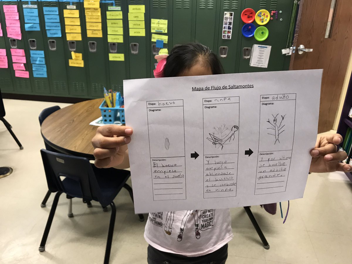 Lori4teachers's tweet photo. Co-teach grasshopper (saltamontes) life cycles with @wier2nd and @MrsSammon - dual language science fun!!!!! Students enjoyed the @smartschoolsys I-go microscopes that helped us see the details on the body parts as well!! @LewisvilleES #LISDsci https://t.co/CHlDLdadAY