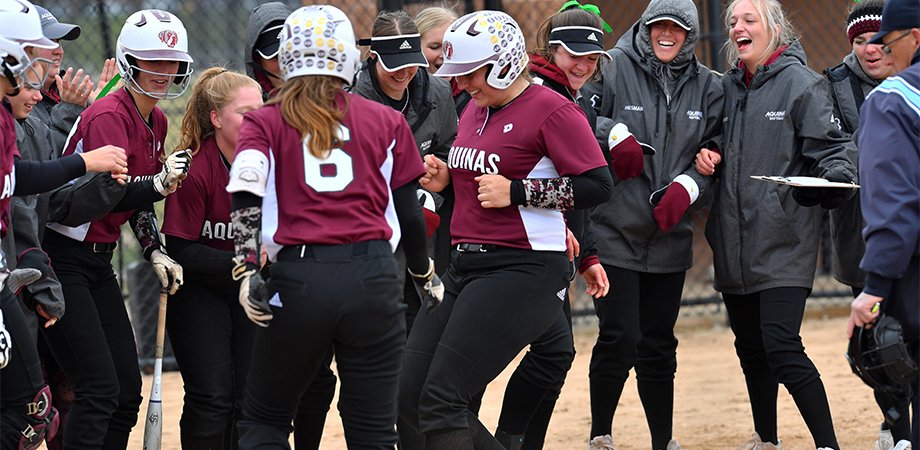Aquinas Softball tweet media
