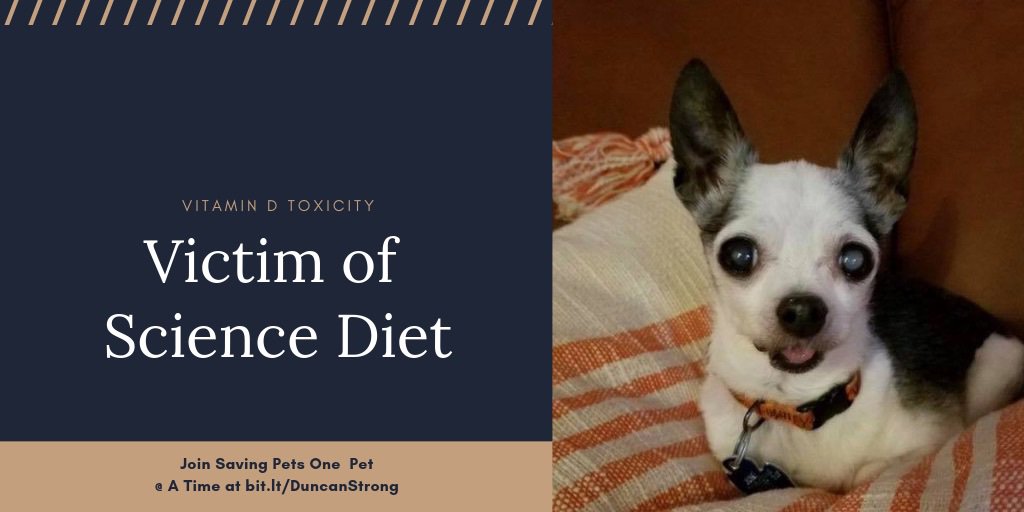 DuncanStrong5's tweet photo. Another victim of Science Diet Vitamin D Toxicity. Two recalls 60 days apart.
#DuncanStrong #kitten #kittens #doglovers #puppydog #puppylove #dogfriendly #catstagram #kittensofinstagram #petlovers #petlover #dogs #Petscop #cats https://t.co/GjNycyZw2U
