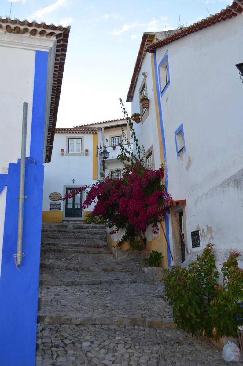 PortugalcomAlma's tweet photo. "Você pode viver Óbidos em nosso roteiro: Portugal da Realeza." https://t.co/XuEBanS1Eh #Portugal #Óbidos #Ginginha #Ginga https://t.co/gKyamXdsJ8