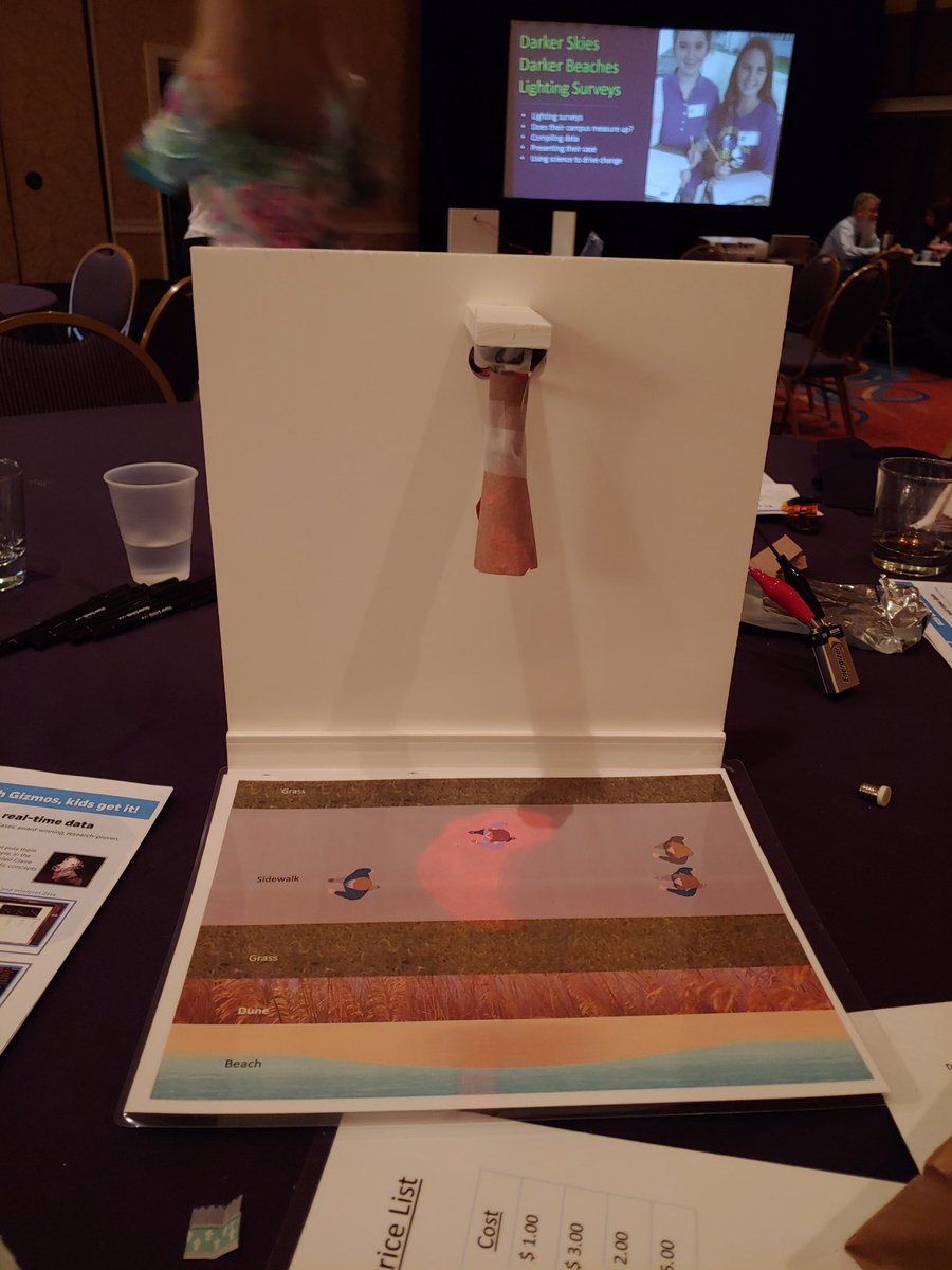 ScienceCitrus's tweet photo. Darker skies, darker beaches turtle trunk- #circuits #lightenergy #sea turtles #inwaterresearchgroup @KarrieWikman #FASS2019 https://t.co/Tq7Y7vdOeV