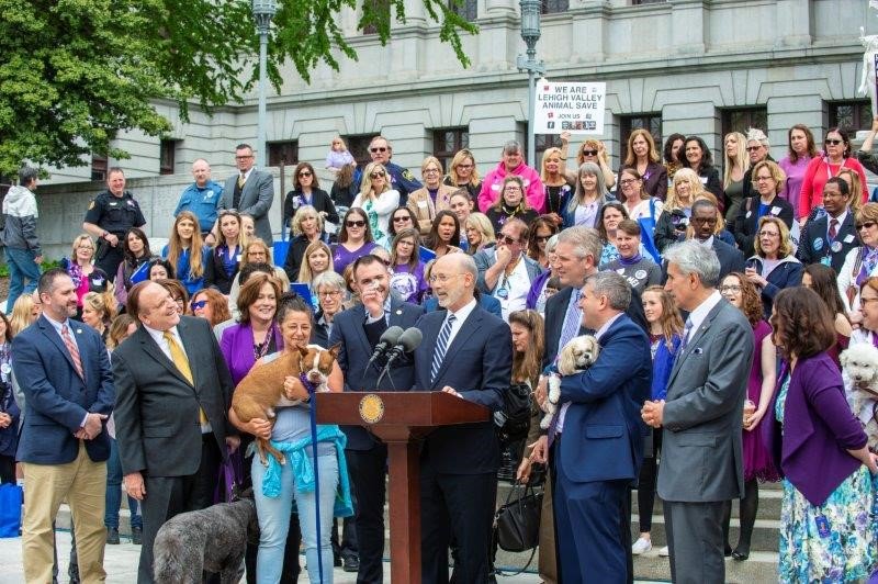 RepMalagari's tweet photo. Libre the dog is looking proud and pleased to be advocating against animal cruelty today in Harrisburg! And he should be proud, he's a groundbreaking, law-changing canine, padding the way for animal rights in Pennsylvania. #LibresLaw #HumanePA https://t.co/JRjNKH5o8E
