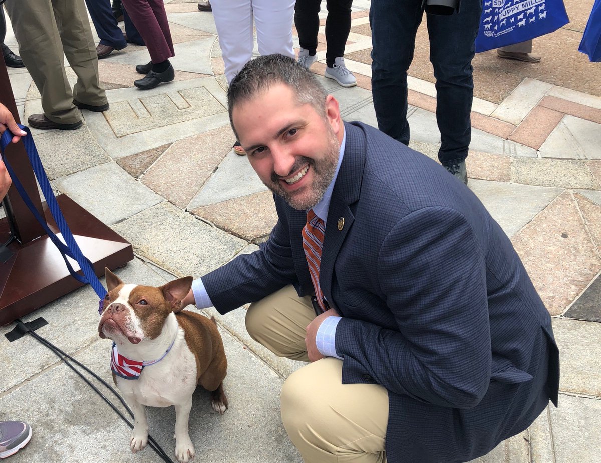 RepMalagari's tweet photo. Libre the dog is looking proud and pleased to be advocating against animal cruelty today in Harrisburg! And he should be proud, he's a groundbreaking, law-changing canine, padding the way for animal rights in Pennsylvania. #LibresLaw #HumanePA https://t.co/JRjNKH5o8E