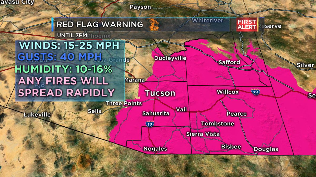 Lisa Villegas Bio Wiki Age Husband Fox 13 Net Worth Salary | Hot Sex