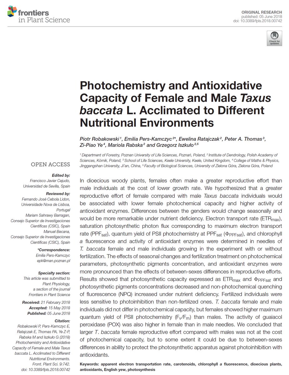Adrian_Lukowski's tweet photo. "#Photochemistry and #antioxidative capacity of female and male #Taxus
baccata L. acclimated to different nutritional environments" by Robakowski et al. 2018.
https://t.co/dUYP2nlp3T

#openaccess #Frontiers_in_Plant_Science @Forestry_Poznan https://t.co/Dv6AlBl3oU