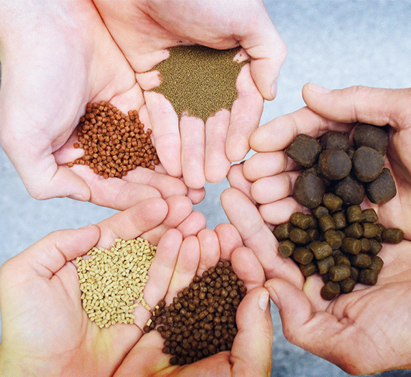 IPacuicultura's tweet photo. El desafío FEED-X busca transformar la industria de alimentos con nuevas alternativas sostenibles de piensos para #acuicultura https://t.co/mSSqbTgYkB
#FEEDX cuenta cuenta con el apoyo Nutreco y su división de acuicultura @SkrettingGroup https://t.co/ldanJMI0ik