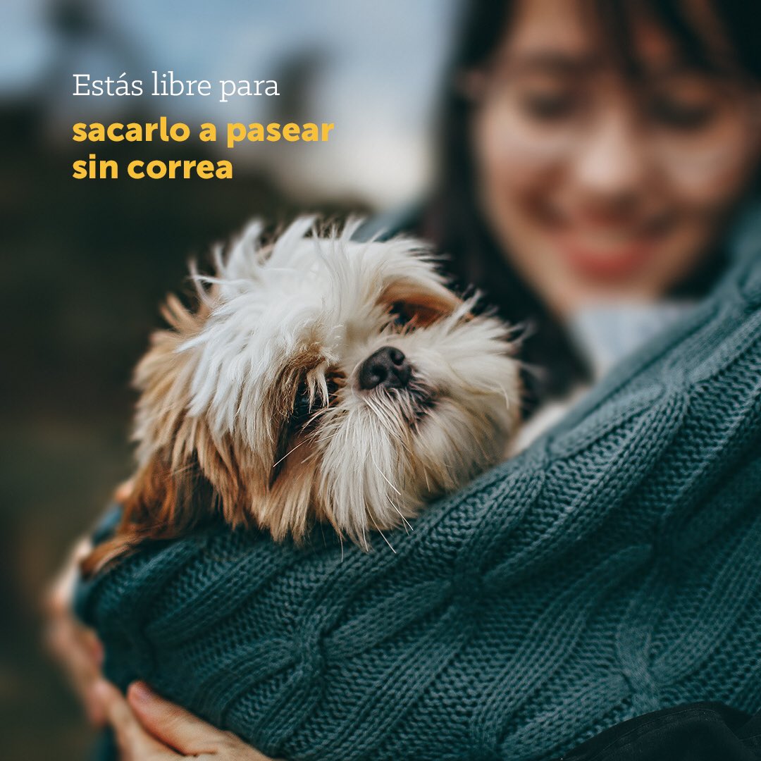 No te olvides que Easy Taxi es pet friendly. Hoy que es su día, sacalo a dar una vuelta.