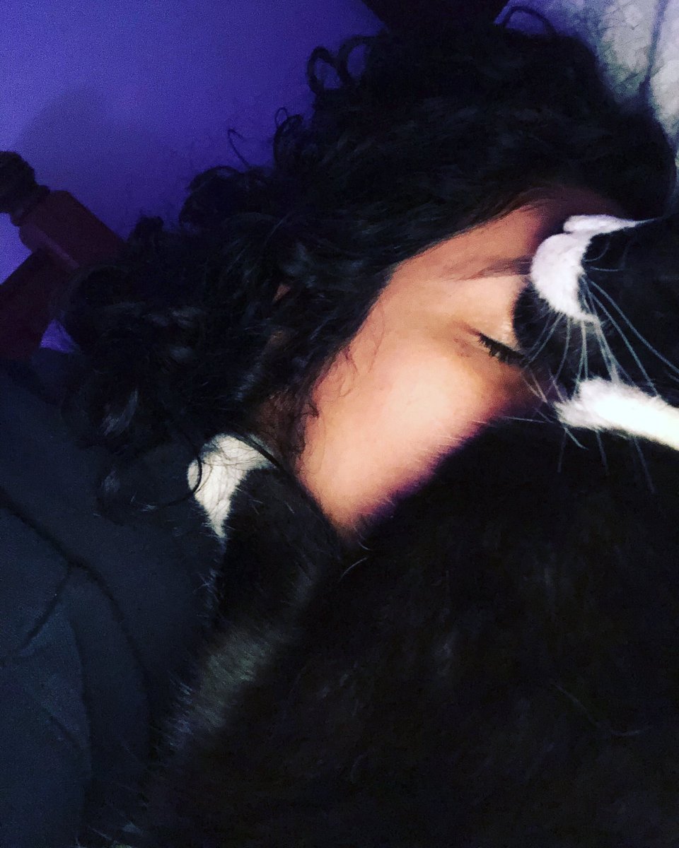 furcatsshop's tweet photo. Just watched #GoT...
I need to lie down
#nottoday #fightlikeagirl #pussypower #catpower #girlpower #catcomforts #pettherapy https://t.co/B5nSGhBmTy