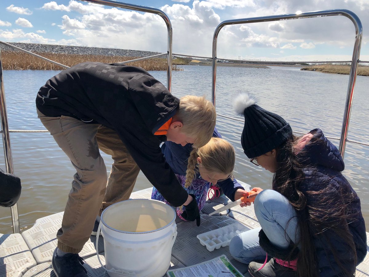 fcsfearless4s's tweet photo. Thank you Ralph Klein Park for inviting us to be part of the Birds and School Program today. #wetlands #FCSturns25 #migratorybirdsday #yyc https://t.co/pc6UPapwQ2