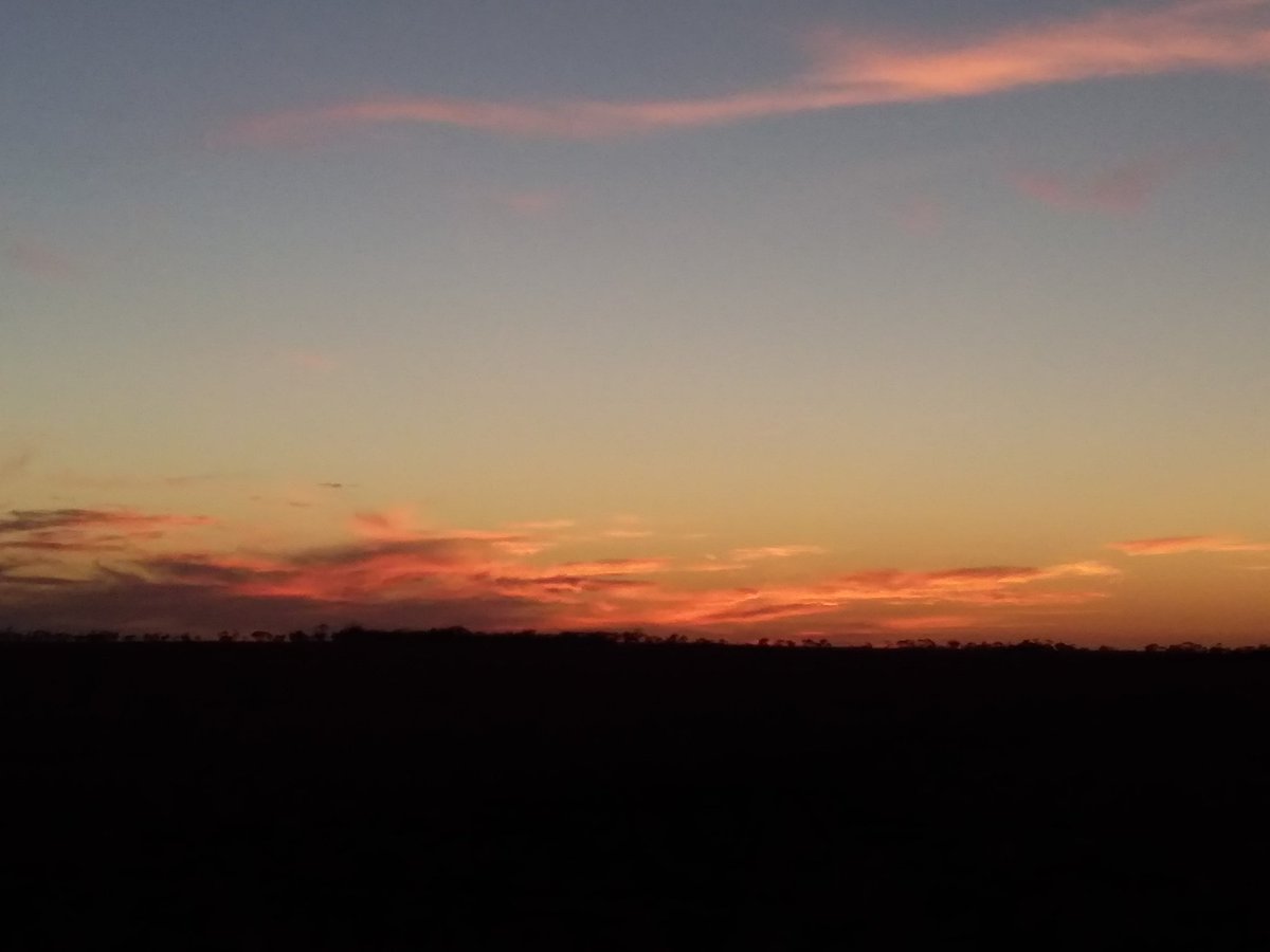 karlene1968's tweet photo. Today's amazing sunrise. Taken right before I was overtaken by a giant spraying machine.
#onlyinthecountry https://t.co/oEJMxdTj5m