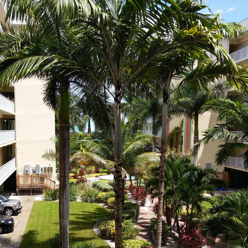 SunsetVistas's tweet photo. National #GreeneryDay is the perfect day to take in our #courtyardviews, don't you think? #SunsetVistas π΄ https://t.co/9rkftzffcR