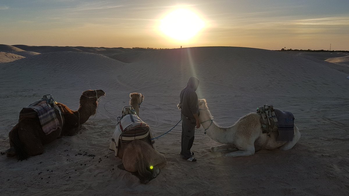 djek013's tweet photo. #TUNISIE #SAHARA #DOUZ https://t.co/b9rWSrTCJ8