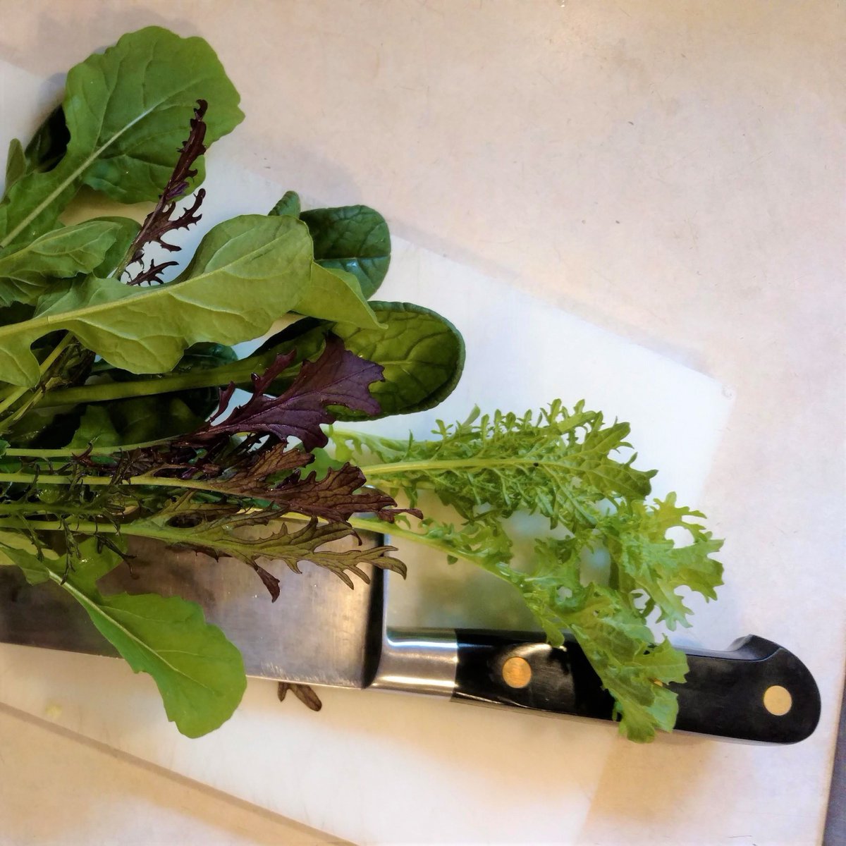 FarmTableWest's tweet photo. Never been more excited to eat a salad in my life! https://t.co/EO6J0hr5zW