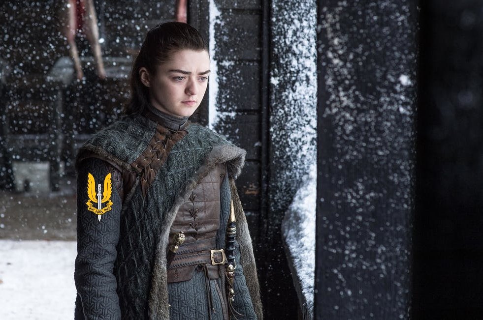 *Spoiler Alert*
#GameOfThrones #GOT 
Leaked image of Arya Stark in Season 8, Episode 4 😂
#BritishSAS #SpecialAirService #Operator #SheWhoDares