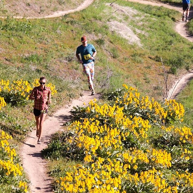 LUNAsandals's tweet photo. LUNA Ambassador @rollicking_runner flying through her race last weekend! Talk about Monday Motivation. #LUNAsandals #LUNAwings #wingededition #runfree #trailrunning #trailrun #runhappy #goodvibes #optoutside #mountainlove #trails #pnw #upperleftusa https://t.co/tuB26vMRa0 https://t.co/Ury6eE6JiR