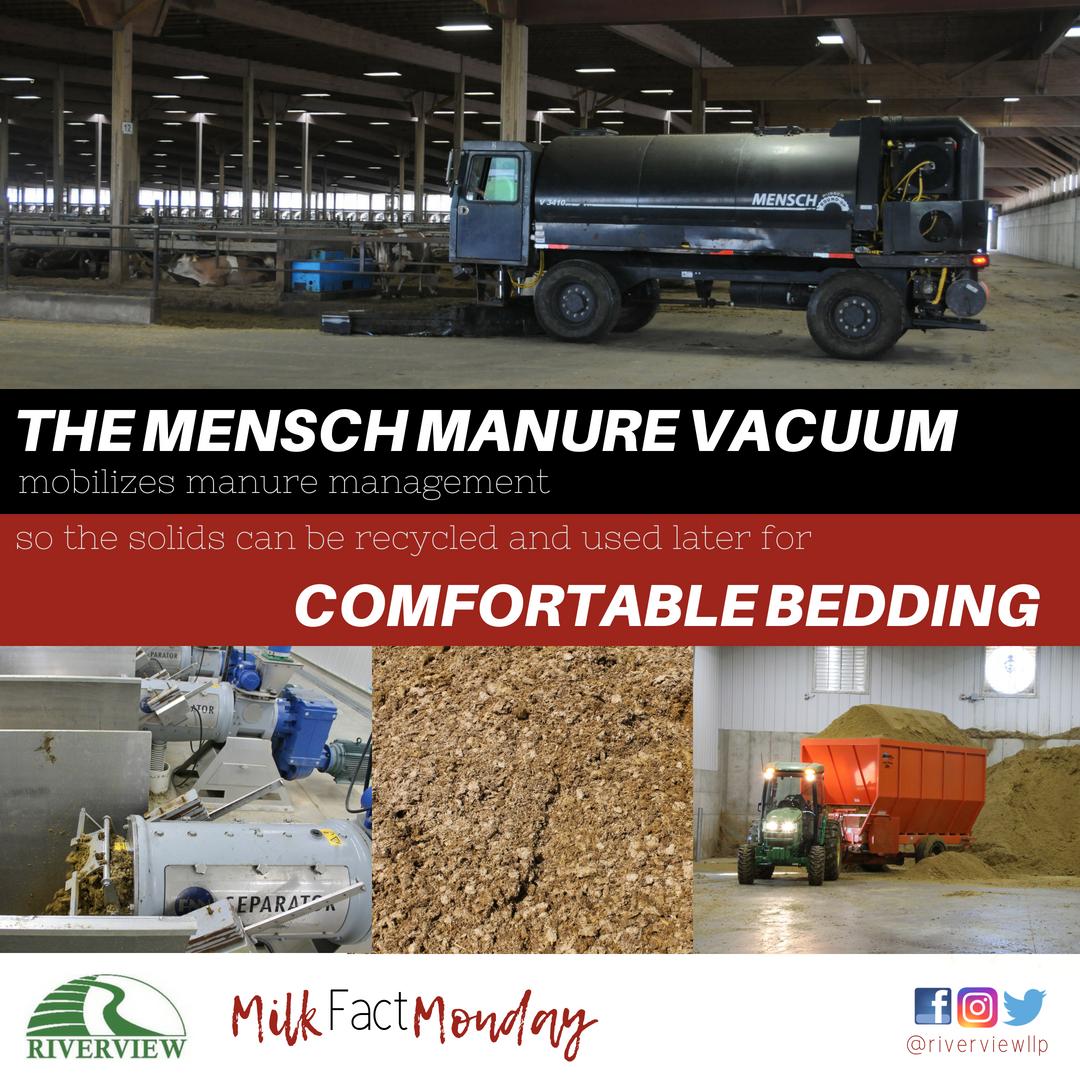 The Mensch manure vacuum is one method dairy farmers use for manure management. 

#milkfactmonday
#farmequipment
#farmmanagement
#animalcare
#Mensch