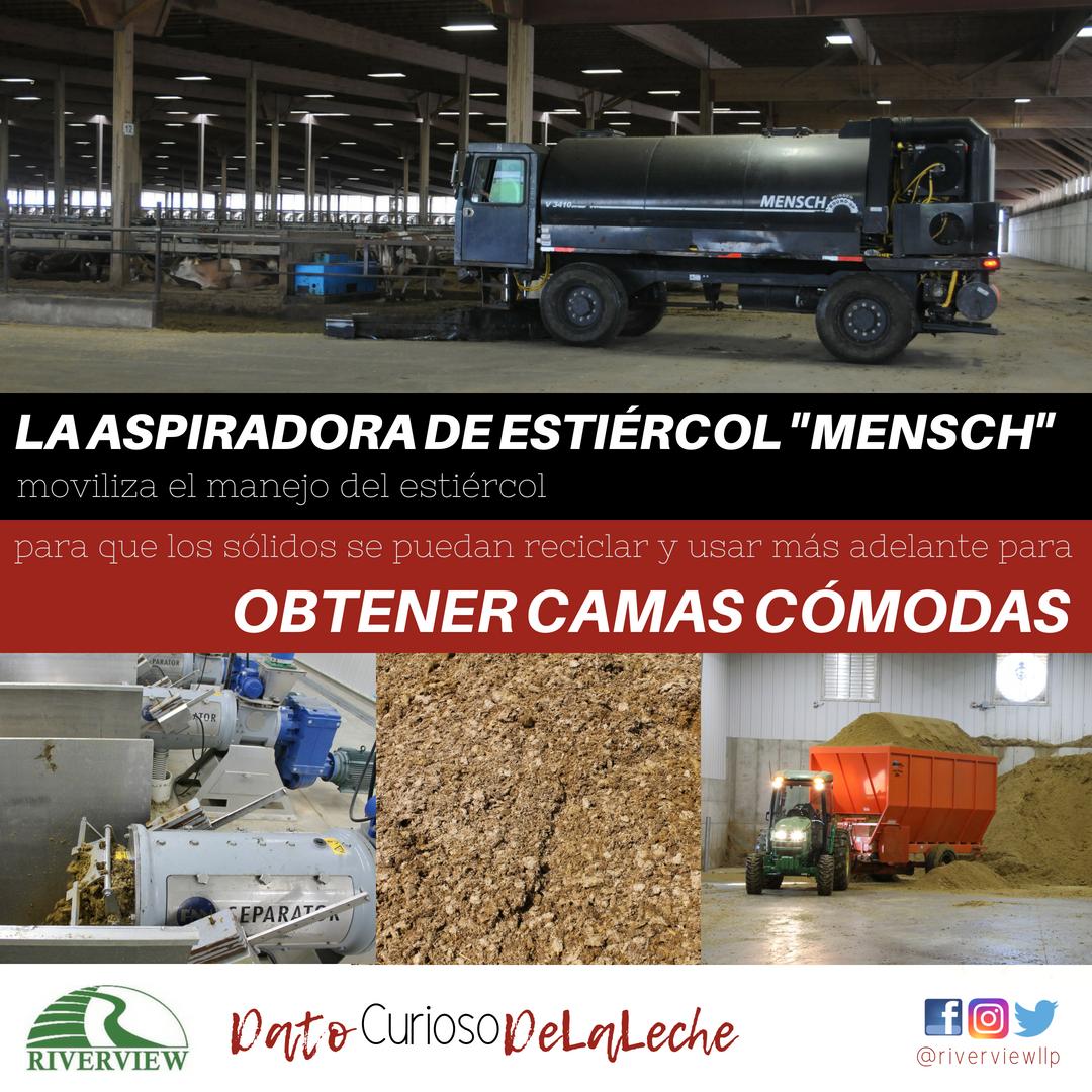 El vacío de estiércol de Mensch es uno de los métodos que usan los granjeros para el manejo del estiércol.

#datocuriosodelaleche
#equipamientodegranja
#gestióndelagranja
#cuidadoanimal
#Mensch