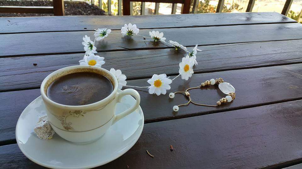 Belki birgün maviler giyer Deniz olurum  Belki birgün yeşiller giyer  Ağaç olurum  Hiç belli olmaz sevgilim  Belki birgün beyazlar giyer  Senin olurum    /Nazım Hikmet 

Gün güzellikleriyle aysın #günaydınimmmm ...