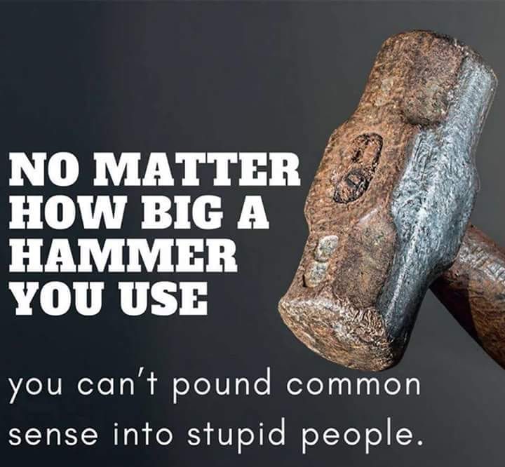 BahadorOmid's tweet photo. No MATTER HOW BIG A HAMMER YOU USE You can't Pound Common Sense into stupid People
#quotes #lifequotes #bomid #best https://t.co/yXozNLLQ4F
