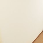 壁を傷つけた黒猫が指名手配されました!賞金はちゅーる!