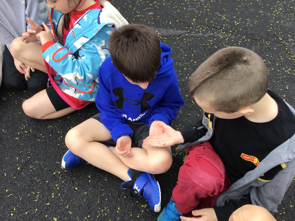 Michele Fillette tweet media