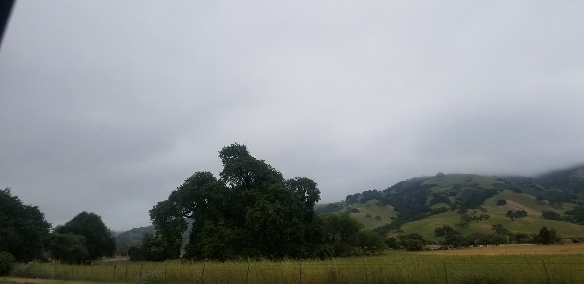 Guavil2's tweet photo. I can't believe my imagination is so wild, I imagine a horse rider in the trees!
#Guavil #photograph #photography #cloudy #tree #treeshapes https://t.co/DXtNIAKWhV