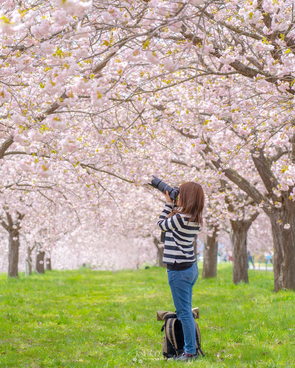 千曲川河川公園 千曲川河川公園
