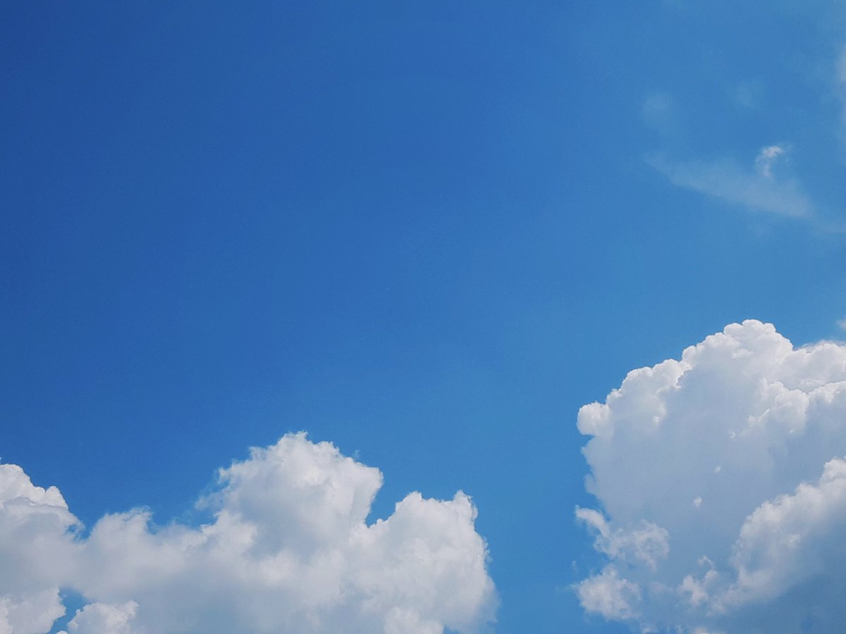 ☁️ tweet media