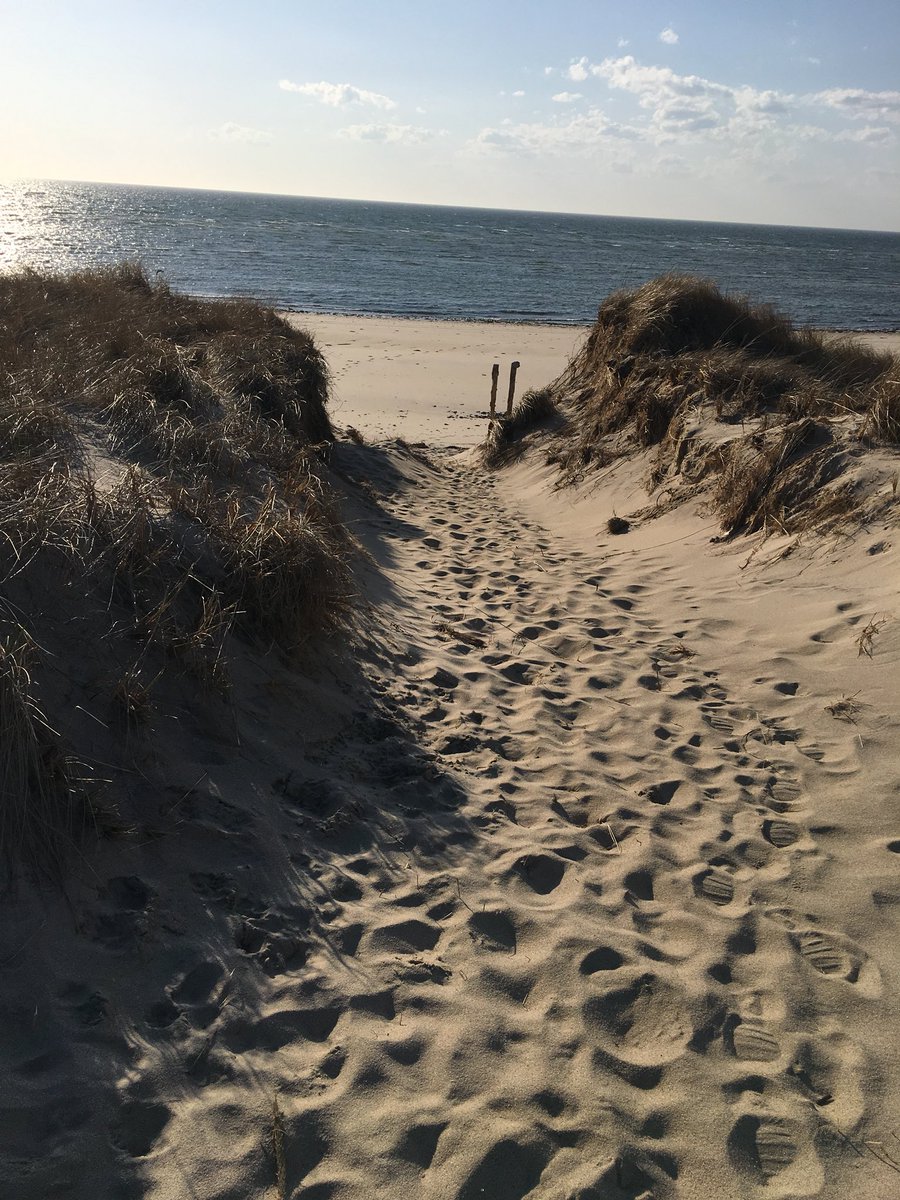 marthasheasmith's tweet photo. @ObeliskJohnvw @Dr_SamuelLin Thanks 4 RT!! #duckharbor #wellfleet https://t.co/KD0cIx2PvQ