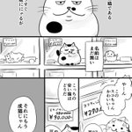 おじさまと猫で1番バズったのはやはりコレ!涙無くしては読めない!